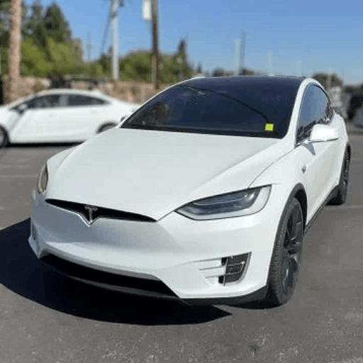 Electric Tesla Model X Driver