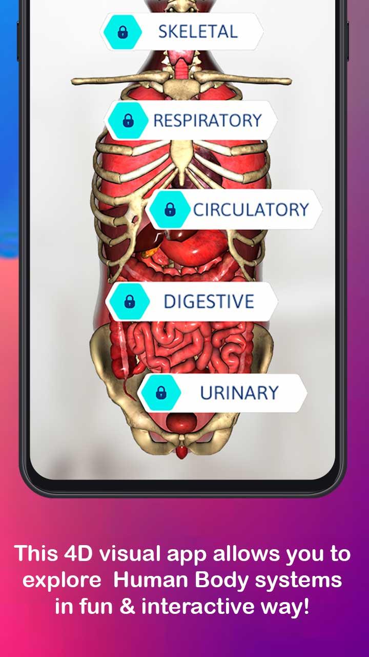 Anatomy AR