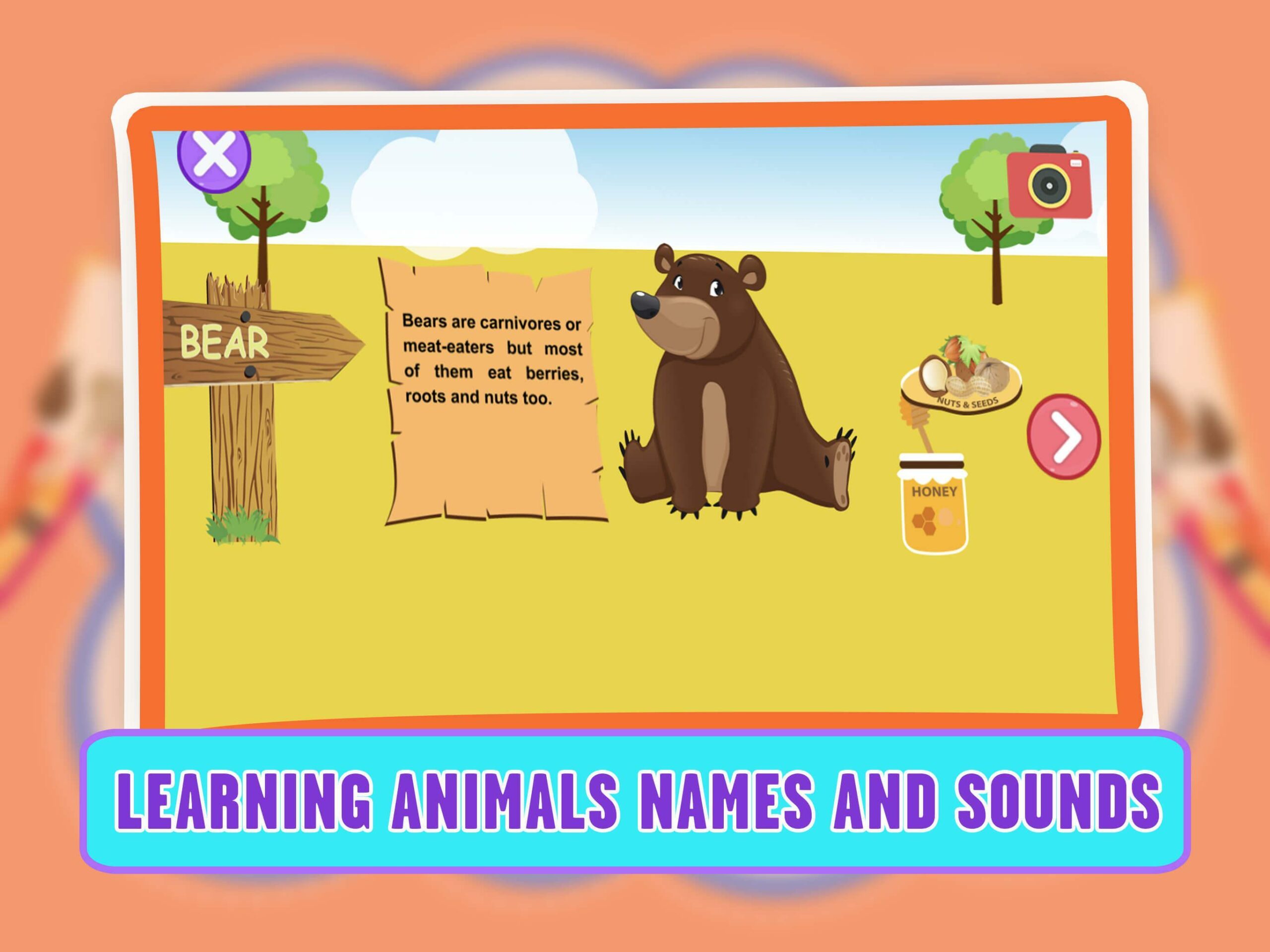 Learning Animal Coloring Games