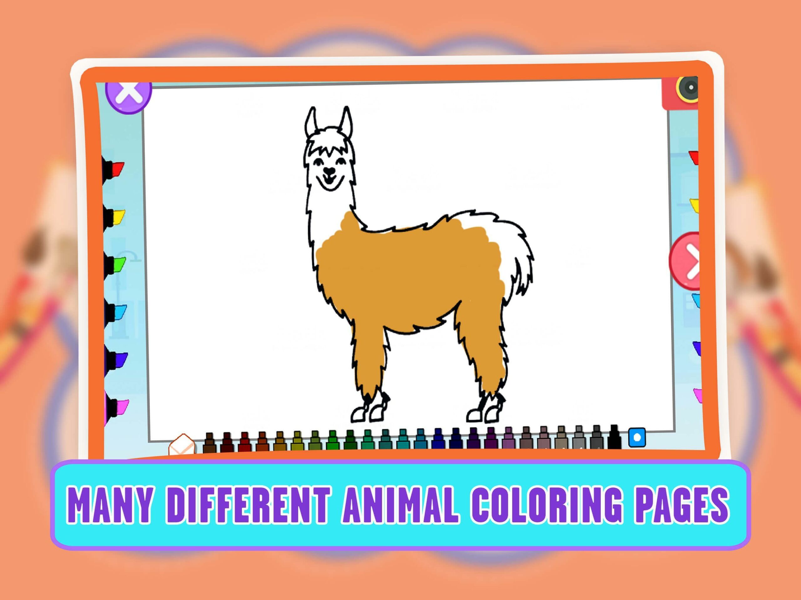 Learning Animal Coloring Games