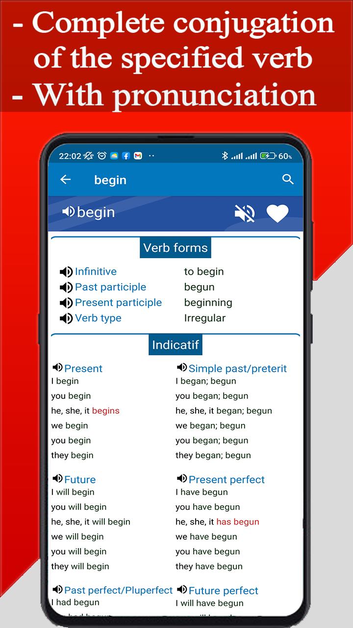 English Conjugation Practice